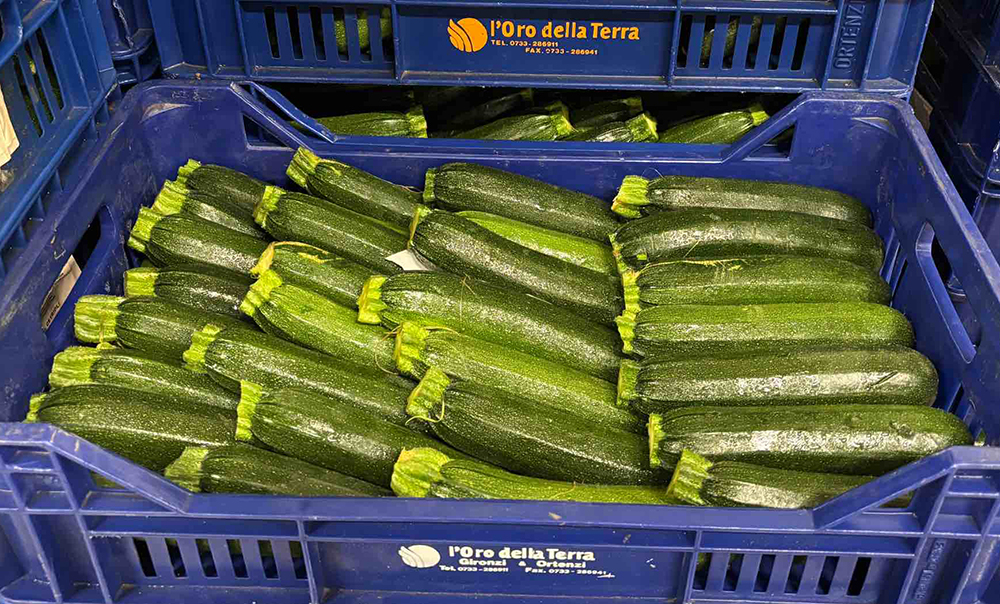 Zucchine - Marche - 0,90/1,00 euro al chilogrammo